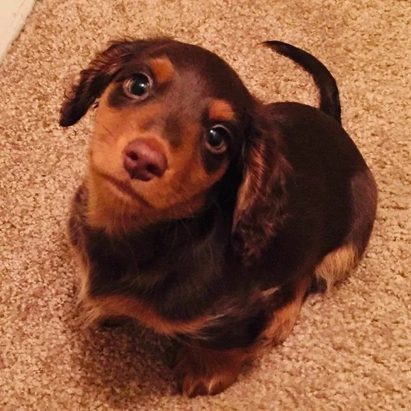 LIKE TO BE NOTIFIED 💟 I’M LIVE 💟 - Picture 10 of 13